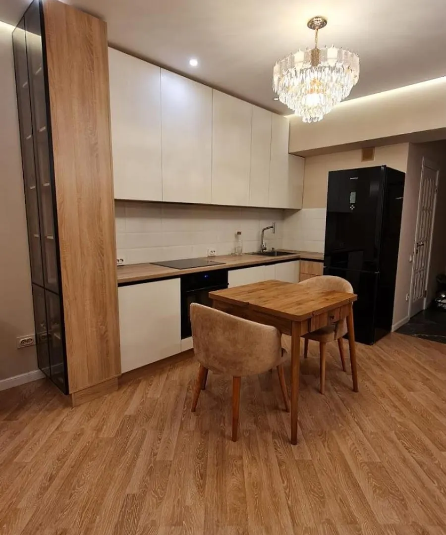 Apartments In The City Center Almaty Kazakhstan